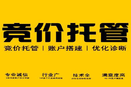 揭秘SEM竞价推广的五大成功策略及其实施细节